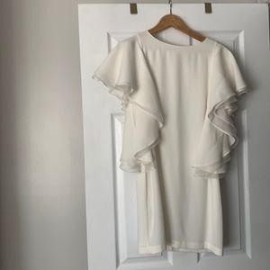 BCBG Max Azria Dress